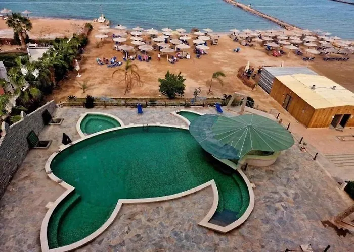 Turtle * Hurgada