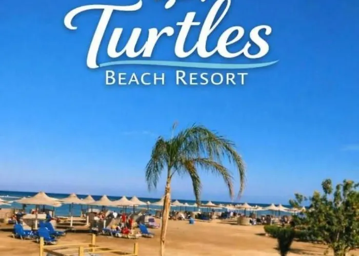 Turtle *