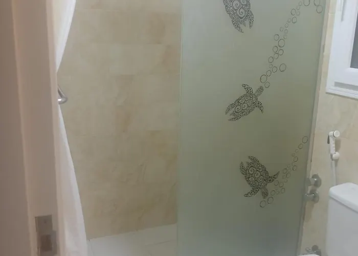 Turtle Hurgada